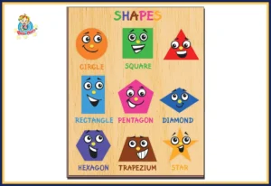 Shapes